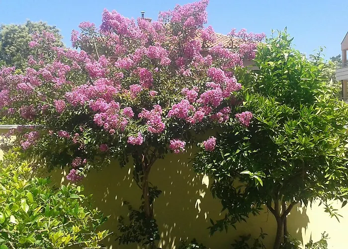 Apartmán Zoky Split