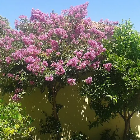 Apartment Zoky Split